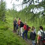 Chalet Försterlisl