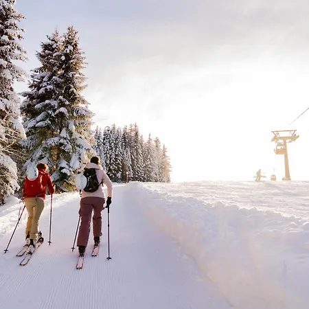 Försterlisl - Direkt Beim Skilift * Kleinarl