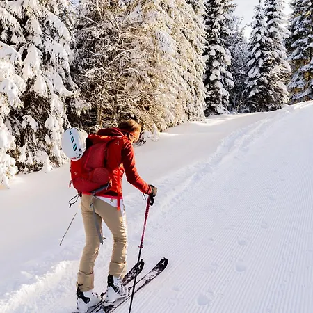 Försterlisl - Direkt Beim Skilift Chalet