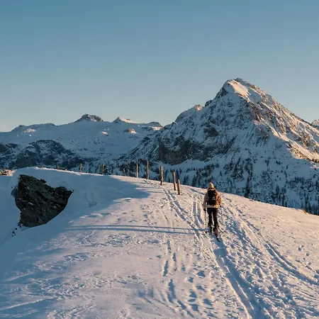 Försterlisl - Direkt Beim Skilift * Kleinarl