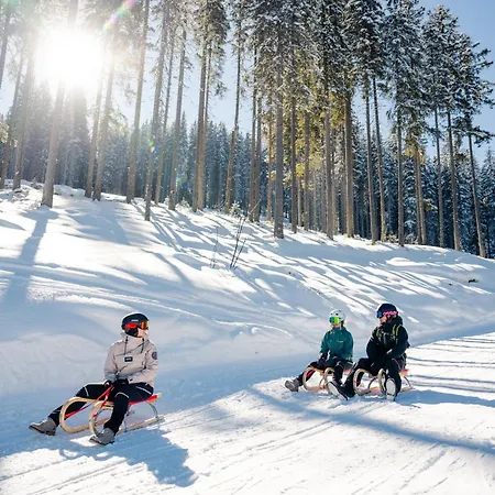 Försterlisl - Direkt Beim Skilift *