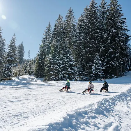 Försterlisl - Direkt Beim Skilift Chalet *