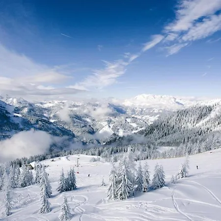 Chalet Ferienhaus Foersterlisl Kleinarl